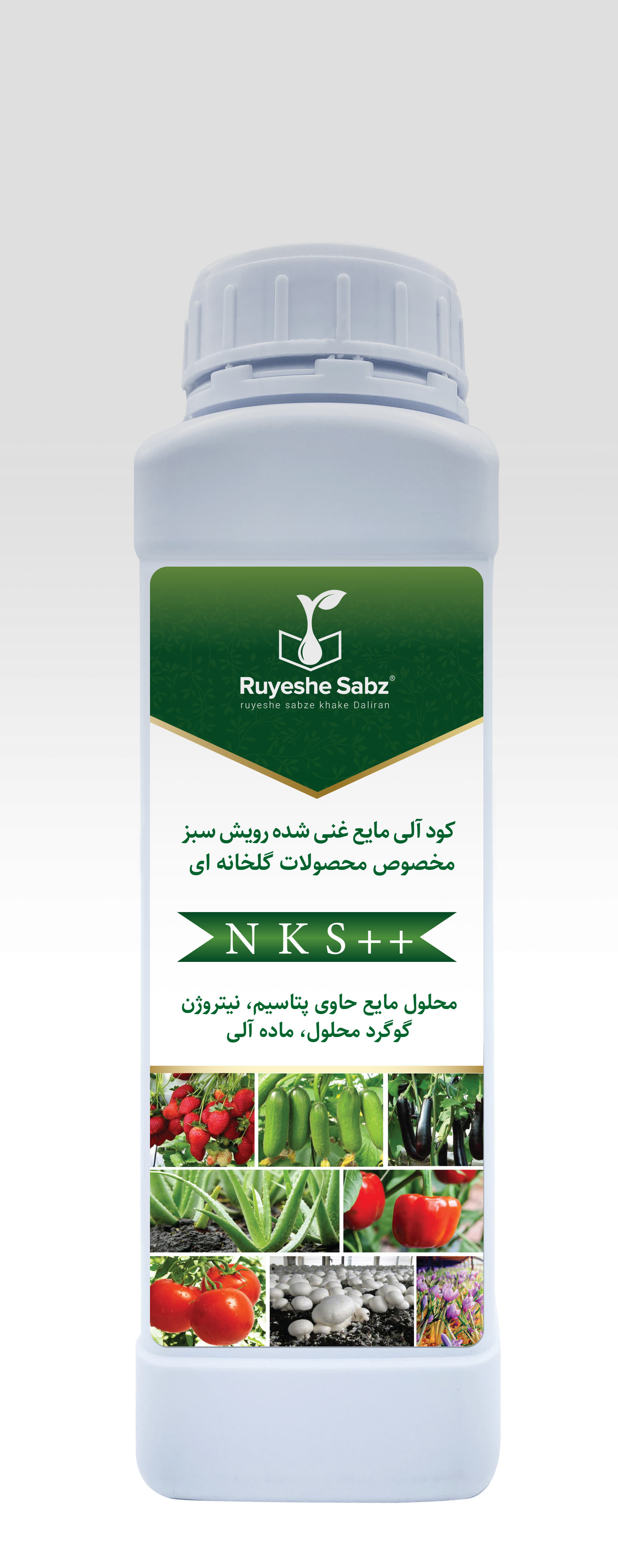 NKS ++